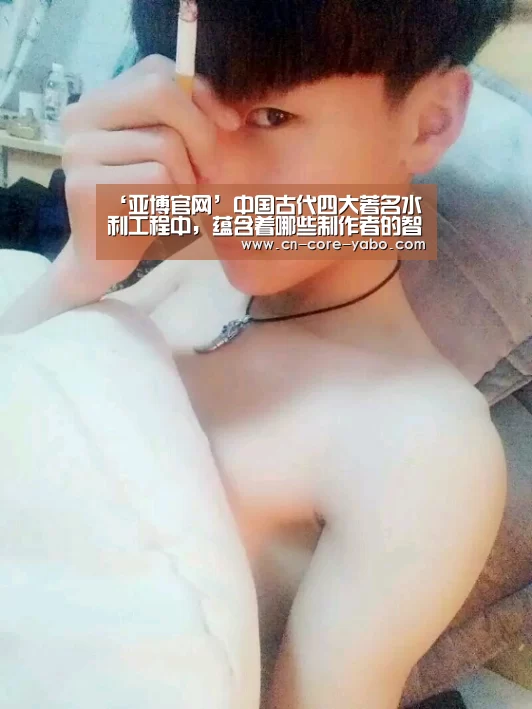 ‘亚博官网’中国古代四大著名水利工程中,蕴含着哪些制作者的智慧?(图2) 亚博网站
