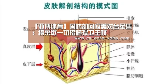 【亚博体育】国防部回应美对台军售:将采取一切措施捍卫主权(图1) 亚博网站