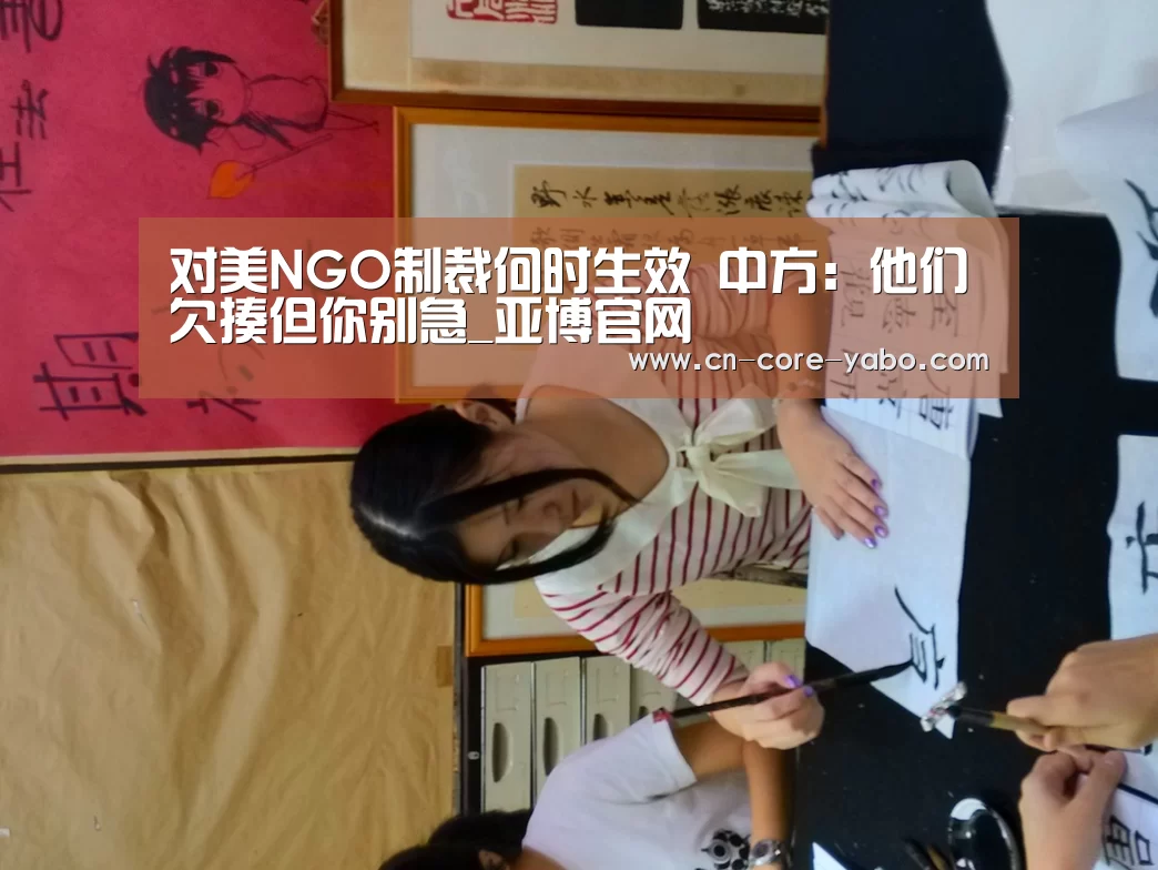 对美NGO制裁何时生效 中方:他们欠揍但你别急_亚博官网(图1) 亚博官网