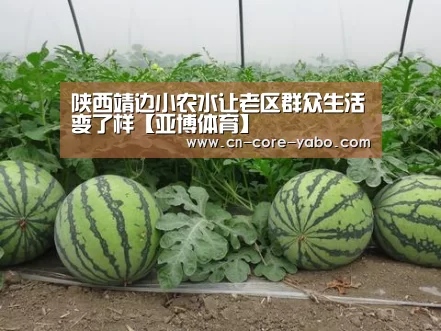 陕西靖边小农水让老区群众生活变了样【亚博体育】